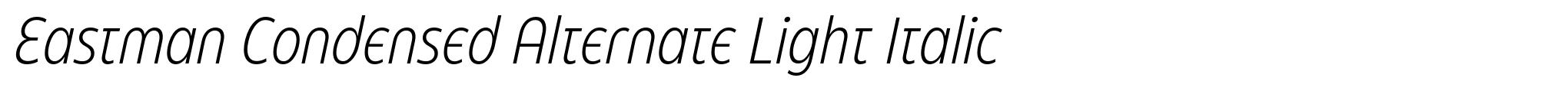 Eastman Condensed Alternate Light Italic image